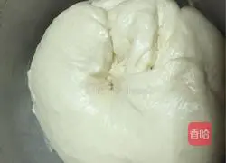 Illustration of making hamburger embryos 7