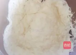 Illustration of how to make hamburger embryos 4