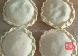 Illustration of how to make fennel meat box 16