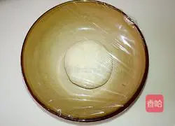 Illustration of how to make pot stickers 6