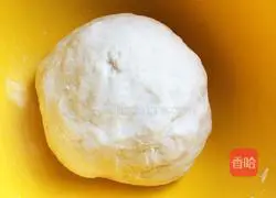 Illustration of how to make homemade assorted spring rolls 1