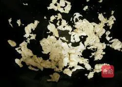 Illustration of how to make vegetarian pot stickers 6