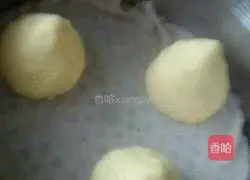 Corn flour steamed bun recipe 4