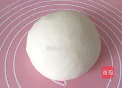 Illustration of how to make pot stickers 7