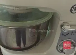 Illustration of how to make hamburger embryos 3