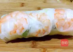 Vietnamese Spring Rolls Illustration 10