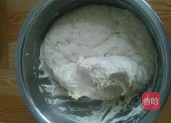 Illustration of how to make hamburger embryos 1