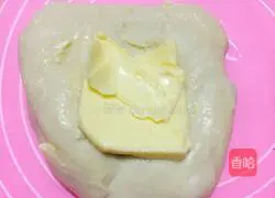 Illustration of how to make hamburger embryos 4