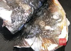 Illustration of how to make fish head and beef porridge 1