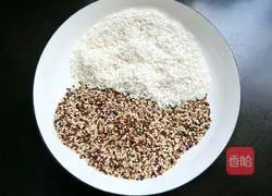 Illustration of three-color quinoa porridge 2