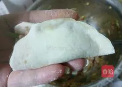 Pork and Zucchini Illustration of how to make pot stickers 13