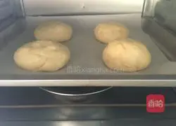 Illustration of hamburger embryo (hand-kneaded version) 8