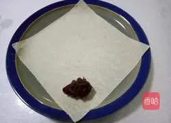 Illustration of how to wrap spring rolls 5