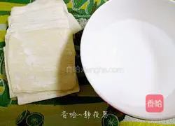 Illustration of making homemade spring rolls 8