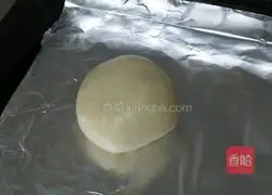 Illustration of how to make hamburger embryos 8