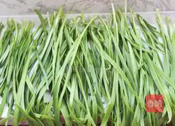  Illustration of how to make leek box 1