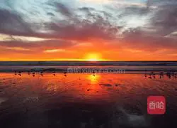 Wenyi Cooking Colorful Braised Rice Illustration of how to do it 5