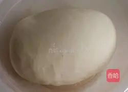 Spinach and Egg Box Recipe Illustration 1