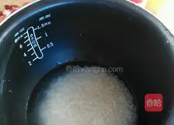 Illustration of Braised Pork with Rice 1