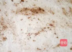 How to make scallion oil and salt and pepper rolls Illustration 12