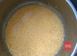 Pumpkin porridge Practice illustration 4