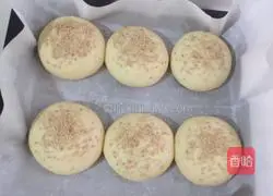 Illustration of how to make hamburger embryos 10