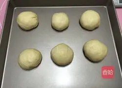 Illustration of how to make hamburger embryos 8