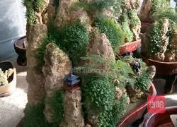 Huang's Baked Rice Illustration of how to do it 3