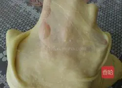 Illustration of how to make hamburger embryos 4