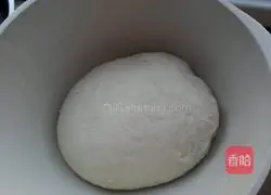 Illustration of how to make radish and pork stuffing box 2