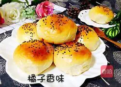 Illustration of how to make hamburger embryos 13