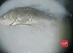 Illustration of how to make crucian carp soup rice noodles 2