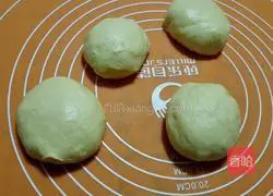 Illustration of how to make hamburger embryos 3