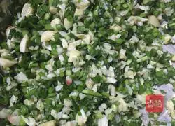 Bird shell Illustration of how to make the box 5