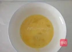 Illustration of Italian Spiral Spaghetti 1