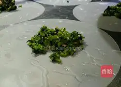 Illustration of how to make Vietnamese spring rolls wrapped with vegetables and prawns 8