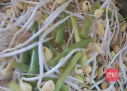 Illustration of braised noodles with garlic moss 2