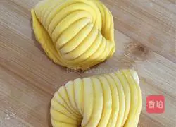 Carrot and conch rolls Practice illustration 20