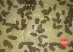 Illustration of how to make raisin cornmeal cake 9