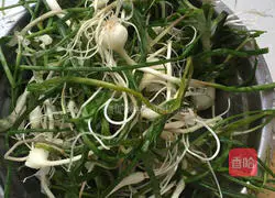 Little Root Garlic Box Illustration of how to do it 2