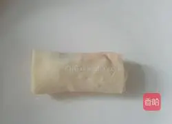 Illustration of homemade spring rolls 5