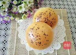 Burger Illustration of how to make embryos 9