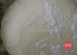 Illustration of how to make pot stickers 1