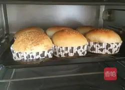 Illustration of how to make butter burger embryo 8