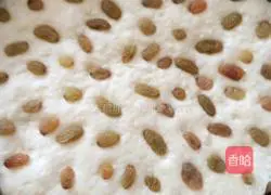 Illustration of how to make two-color hair cake 4