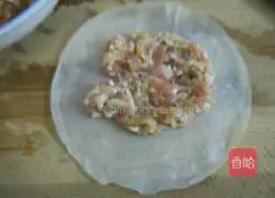 Spring rolls stuffed with meat Practice illustration 9