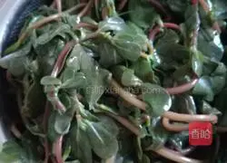 Illustration of how to make purslane box 1