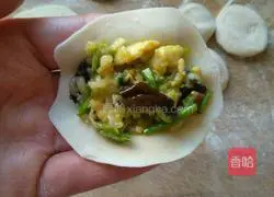 Zucchini, black fungus, egg, and pot stickers Practice illustration 10