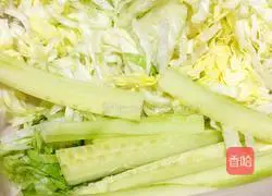 Vietnamese Spring Roll Recipe 4