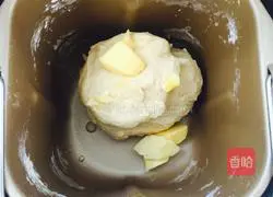 Illustration of how to make hamburger embryos 3